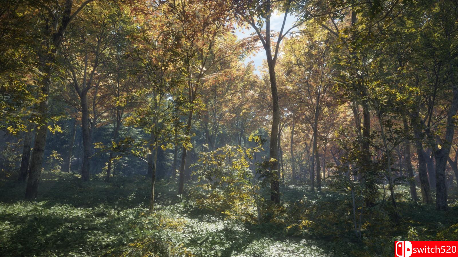 Epic喜加一：狩猎模拟游戏《猎人：荒野的呼唤》免费领取-易佰下载