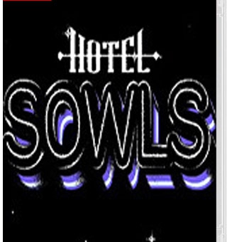 索斯酒店 Hotel Sowls