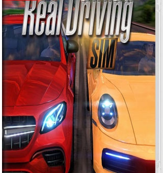 真实驾驶模拟 Real Driving Sim