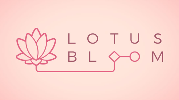莲花绽放 Lotus Bloom_0