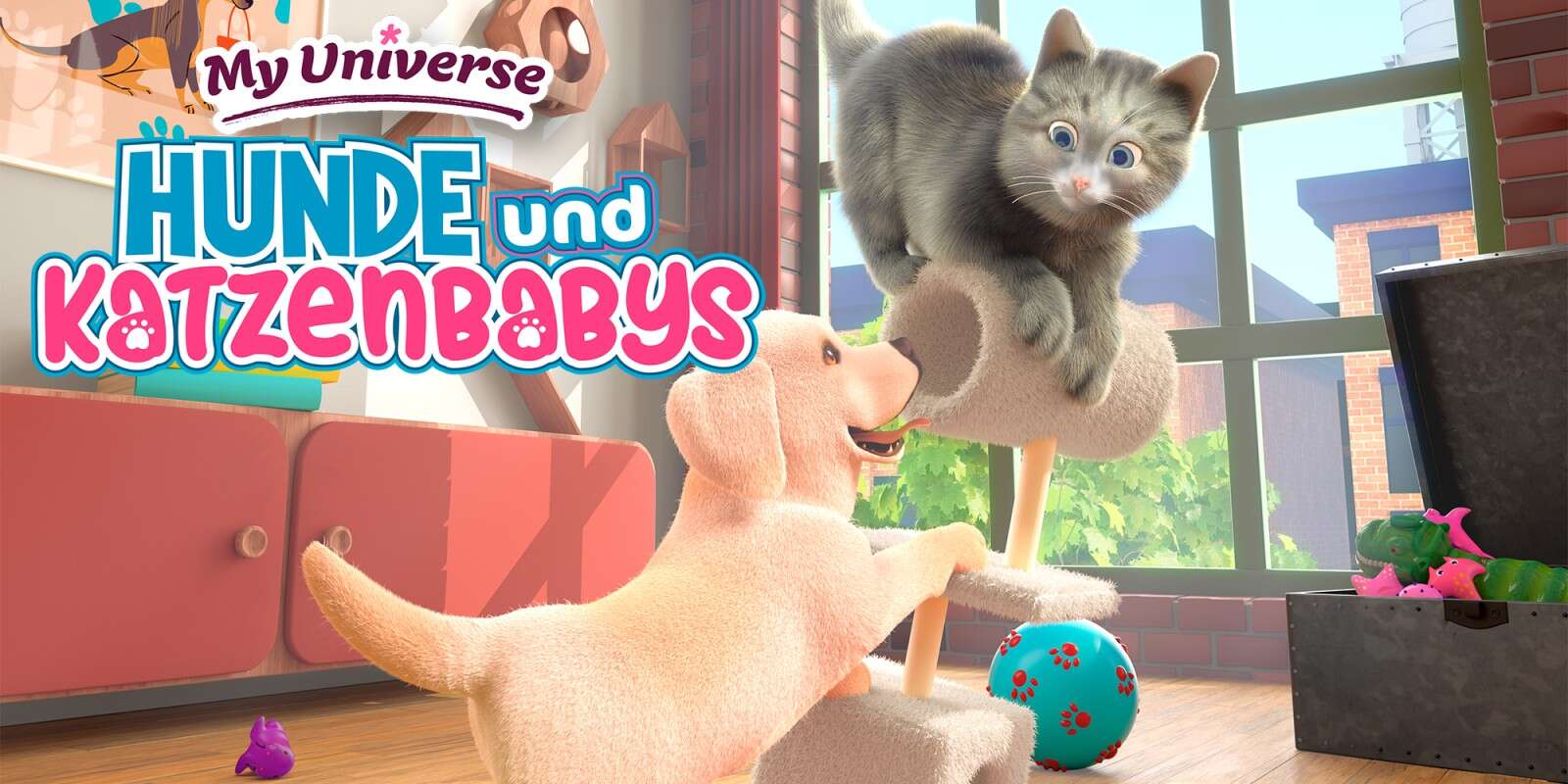 我的领域：小猫小狗  My universe – Puppies and Kittens