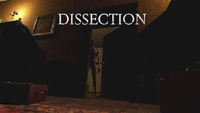 解剖丨Dissection