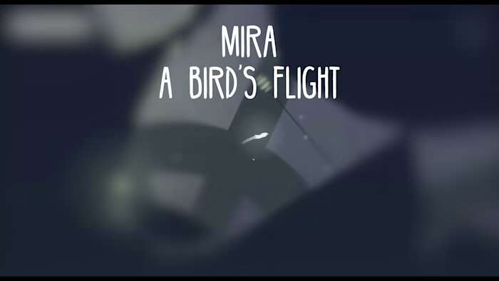 米拉:鸟儿的飞行丨Mira A Birds Flight_0