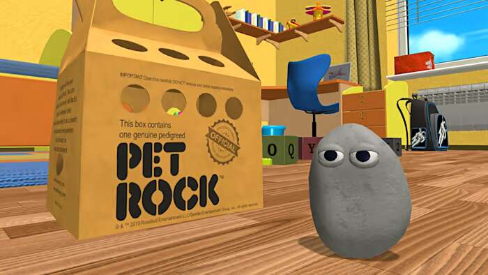 宠物石丨Pet Rock_0