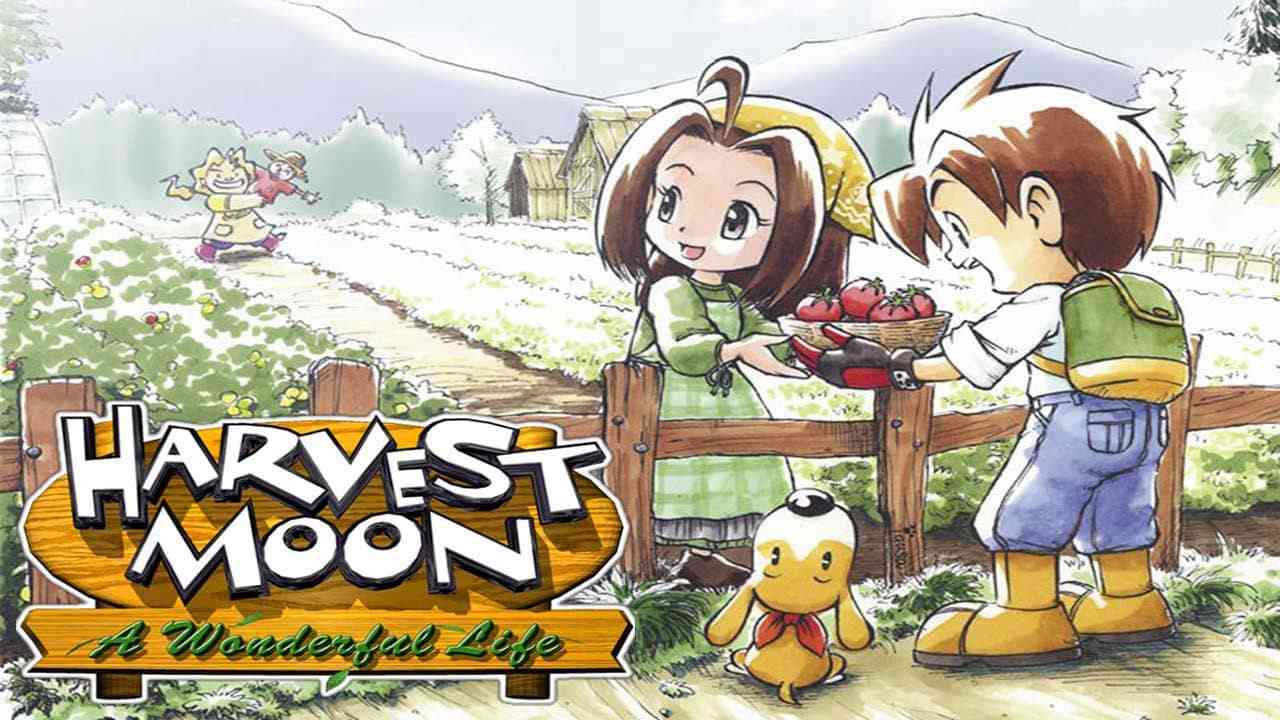 牧场物语:美好人生丨Harvest Moon: A Wonderful Life_0