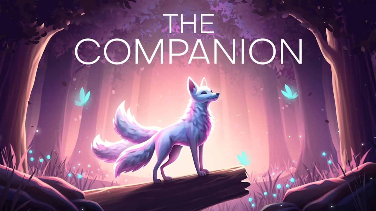 同伴丨The Companion_0