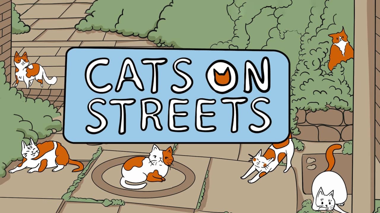 街上的猫丨Cats on Streets